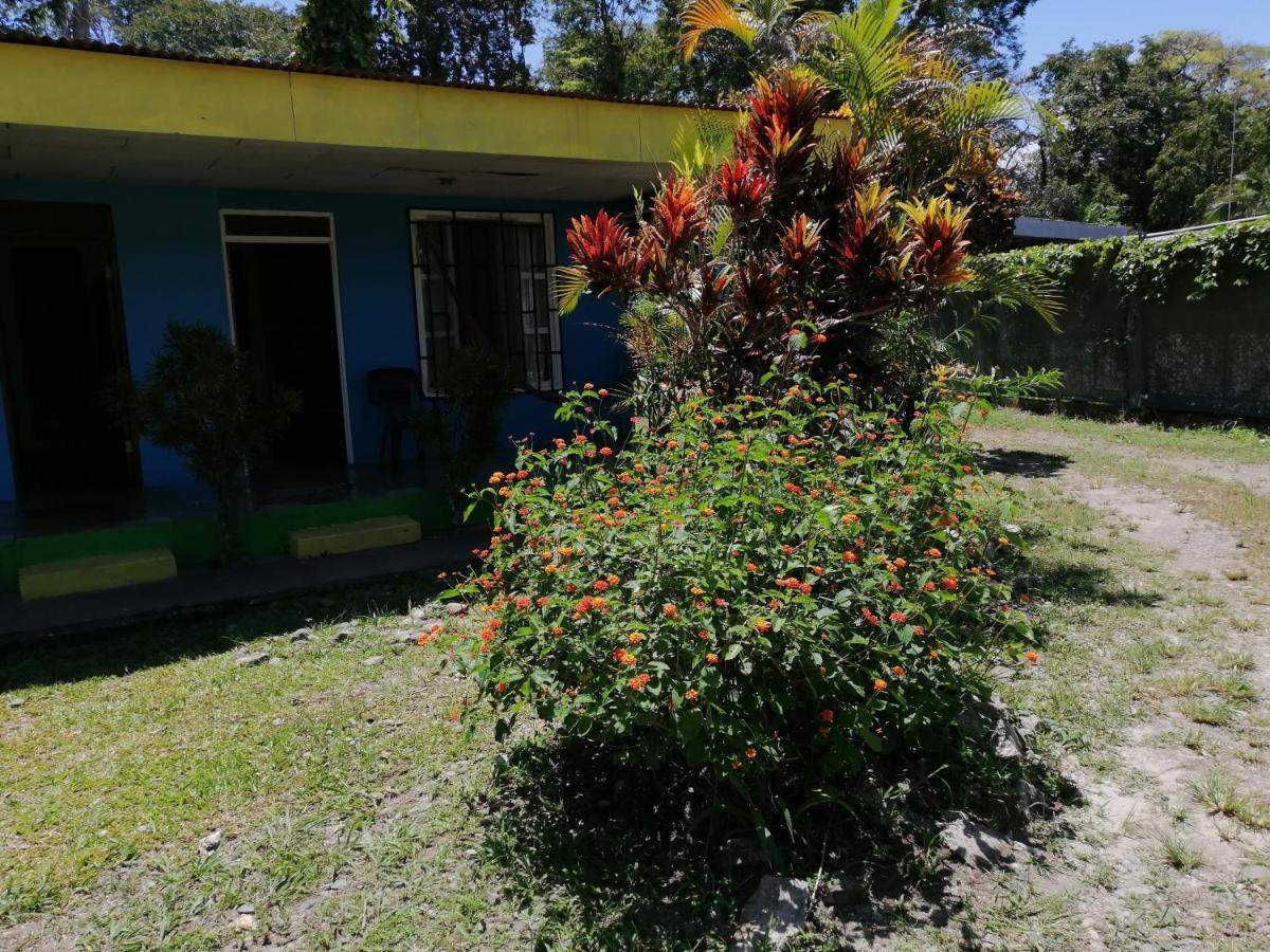 Magic Flower Rooms Cahuita Bagian luar foto