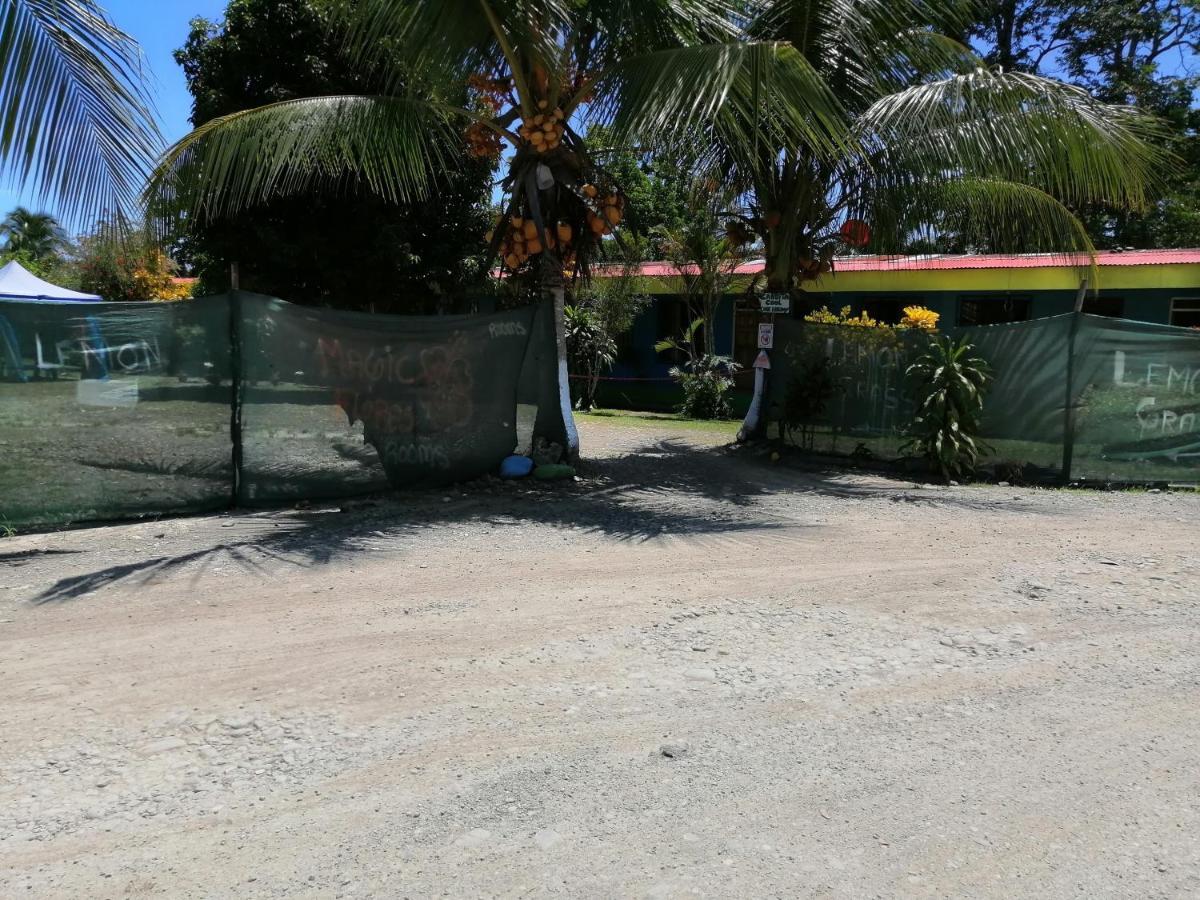 Magic Flower Rooms Cahuita Bagian luar foto