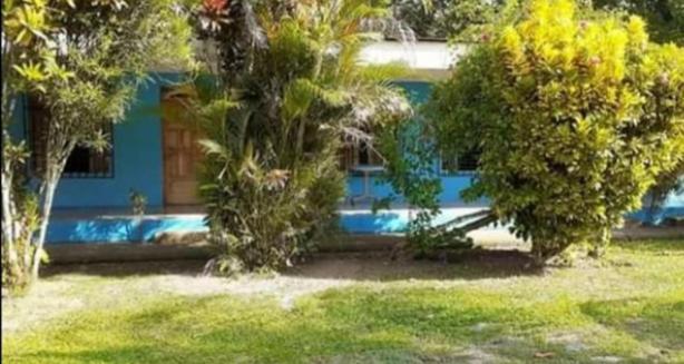 Magic Flower Rooms Cahuita Bagian luar foto