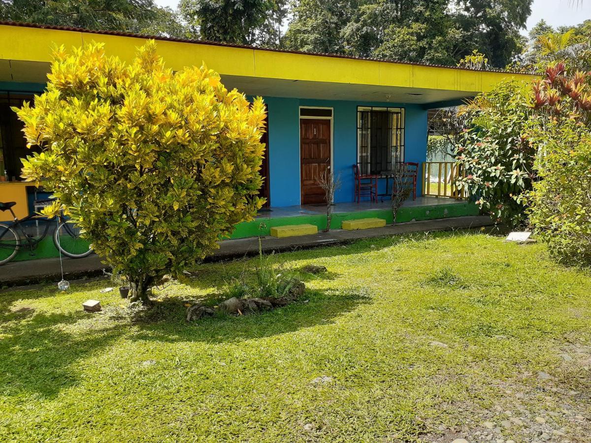 Magic Flower Rooms Cahuita Bagian luar foto